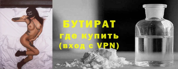 индика Абаза