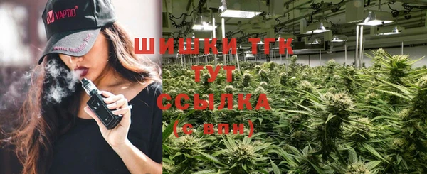индика Абаза