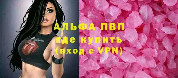 индика Абаза