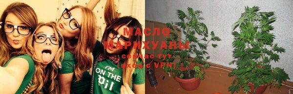 спайс Алзамай