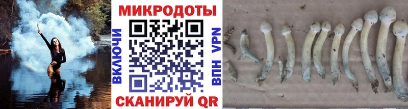 Галлюциногенные грибы MAGIC MUSHROOMS  Ефремов 