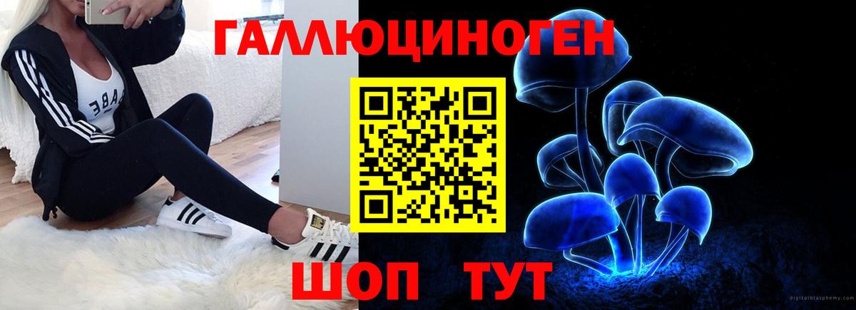 Ефремов  Галлюциногенные грибы мицелий  Вход с VPN 